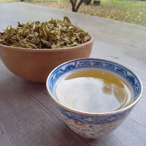 Té Bancha Estilo Japonés Tost. Orgánico - 50 grs