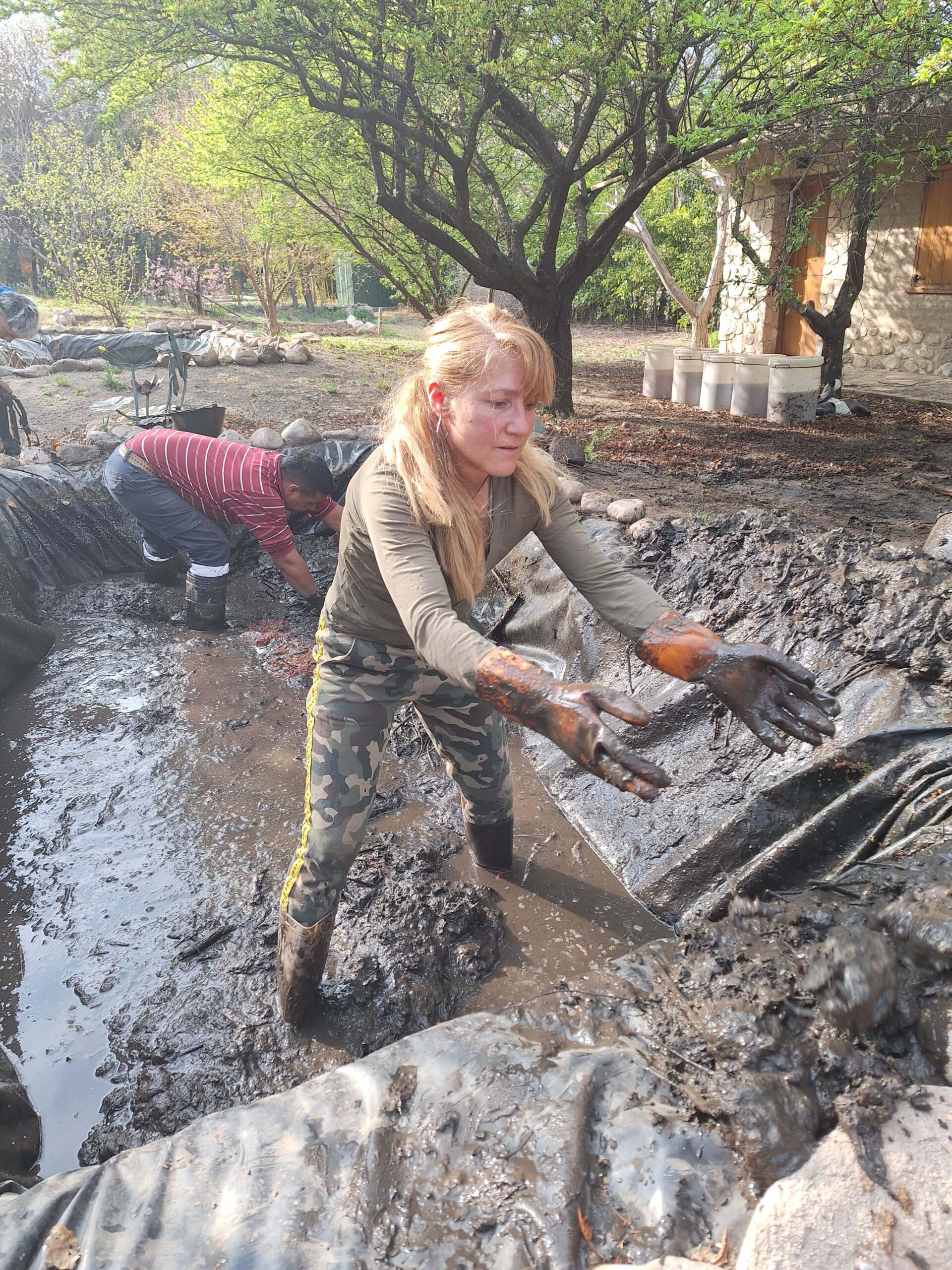 Cosechando raices de loto