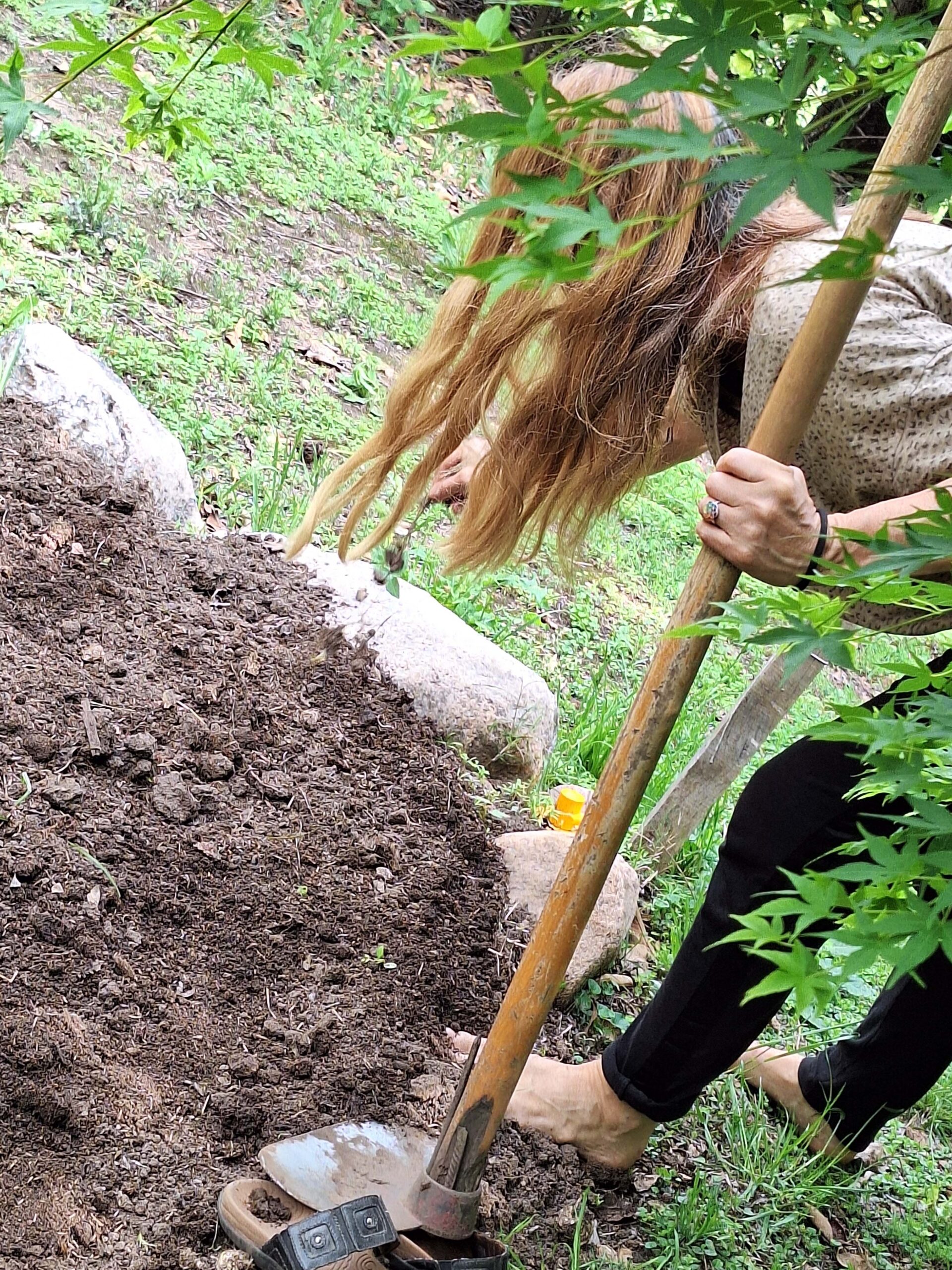 preparando la tierra para sembrar habú