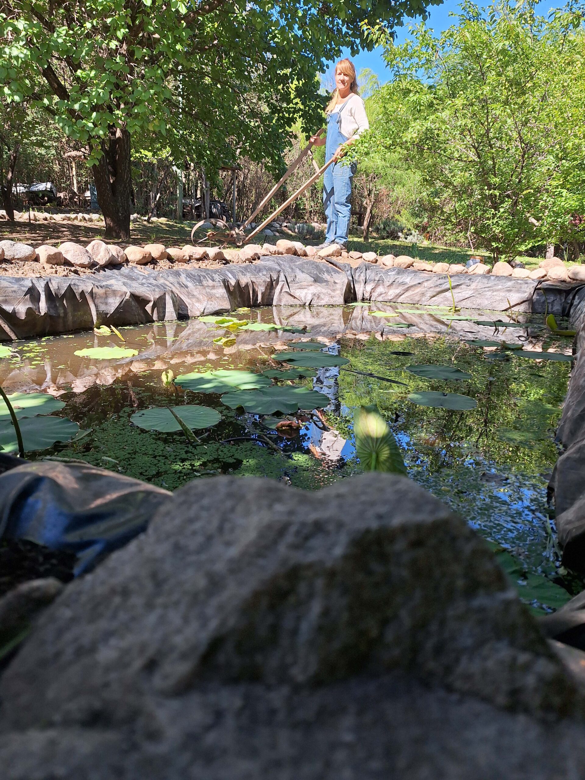 Trabajando la tierra