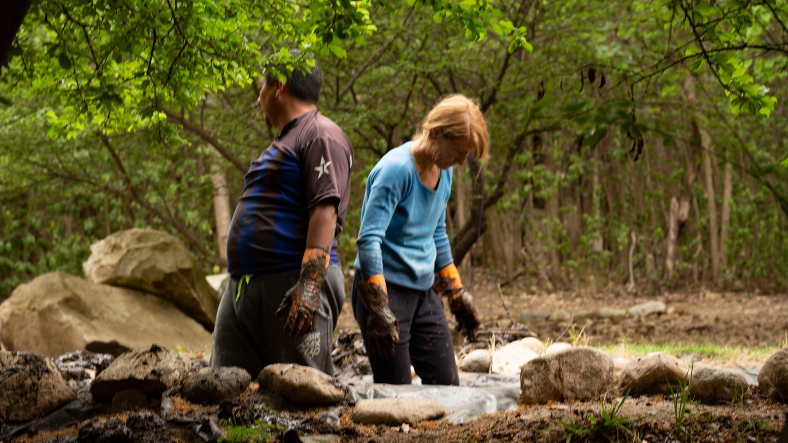 Preparando la tierra para volver a plantar loto