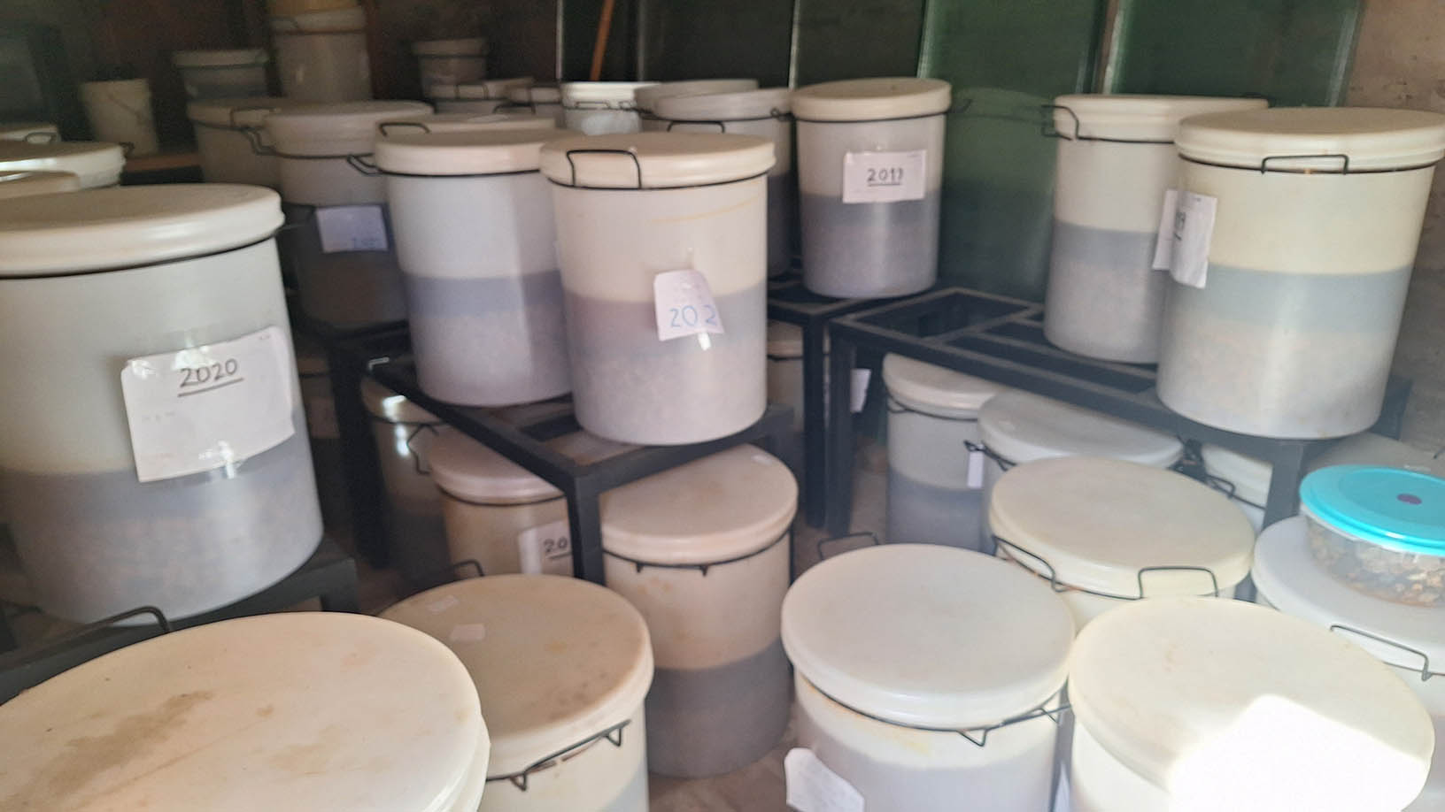 "Bodeboshi" donde se estacionan las umeboshi