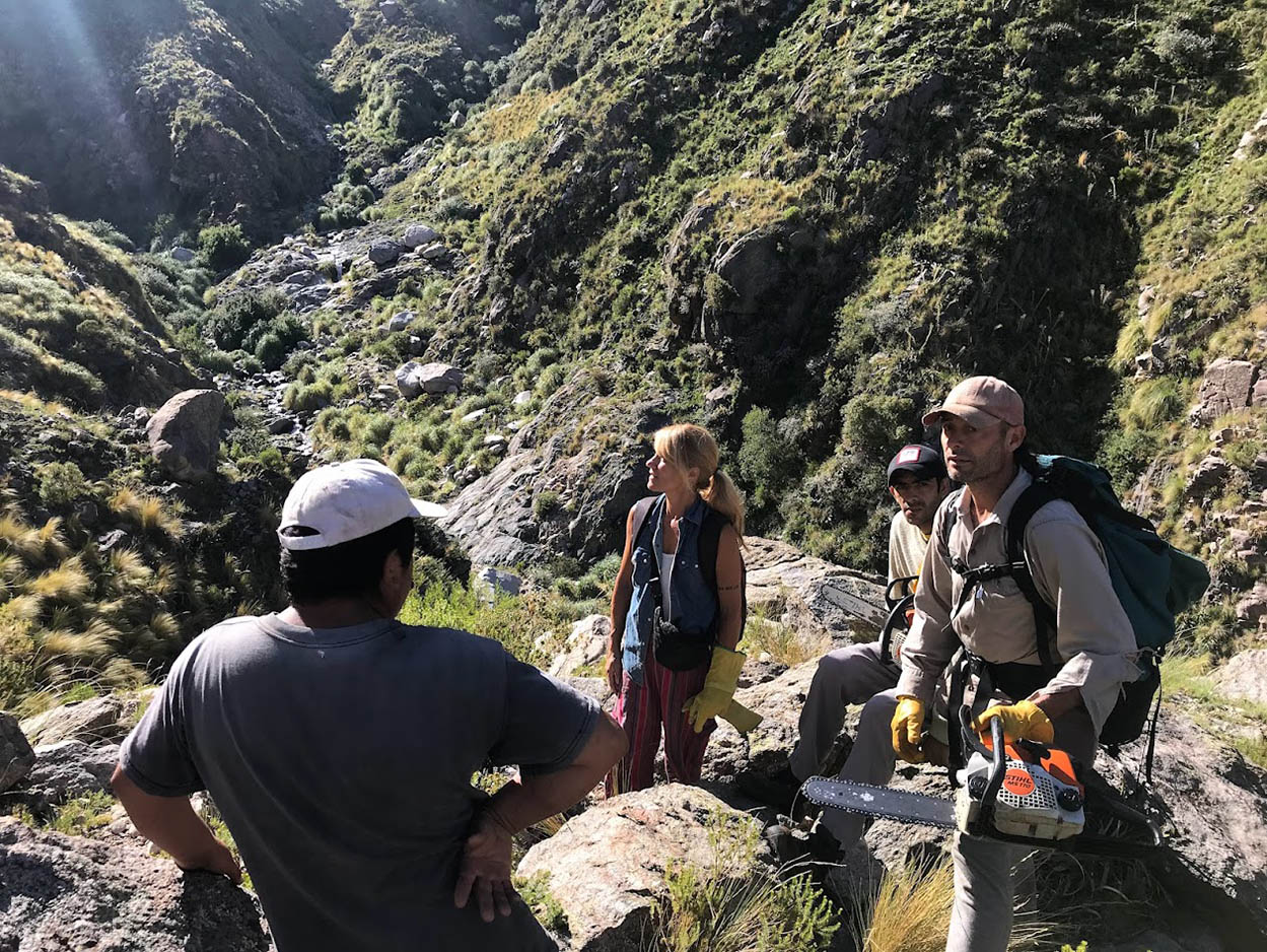 Cortando exóticas en la cima (pino)